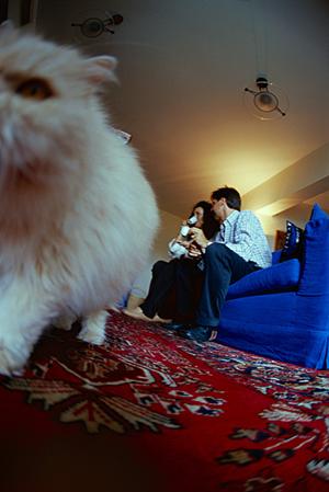 あざみ野駅近くにあるおすすめの動物病院