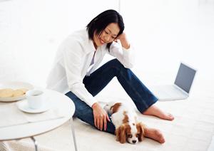 「愛猫の健康をサポート！ロイヤルカナン療法食の選び方とおすすめ商品ガイド」