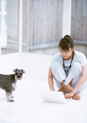 気軽に相談できる豆柴の子犬販売サイト