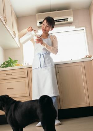 ワンちゃんの健康を守るサプリメント