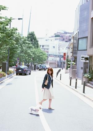 ペットとの最後の別れを支援してもらう